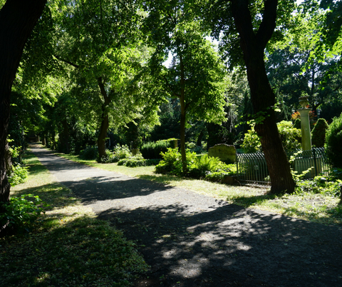 Visit a cemetery in Berlin travel ideas riut riutbag