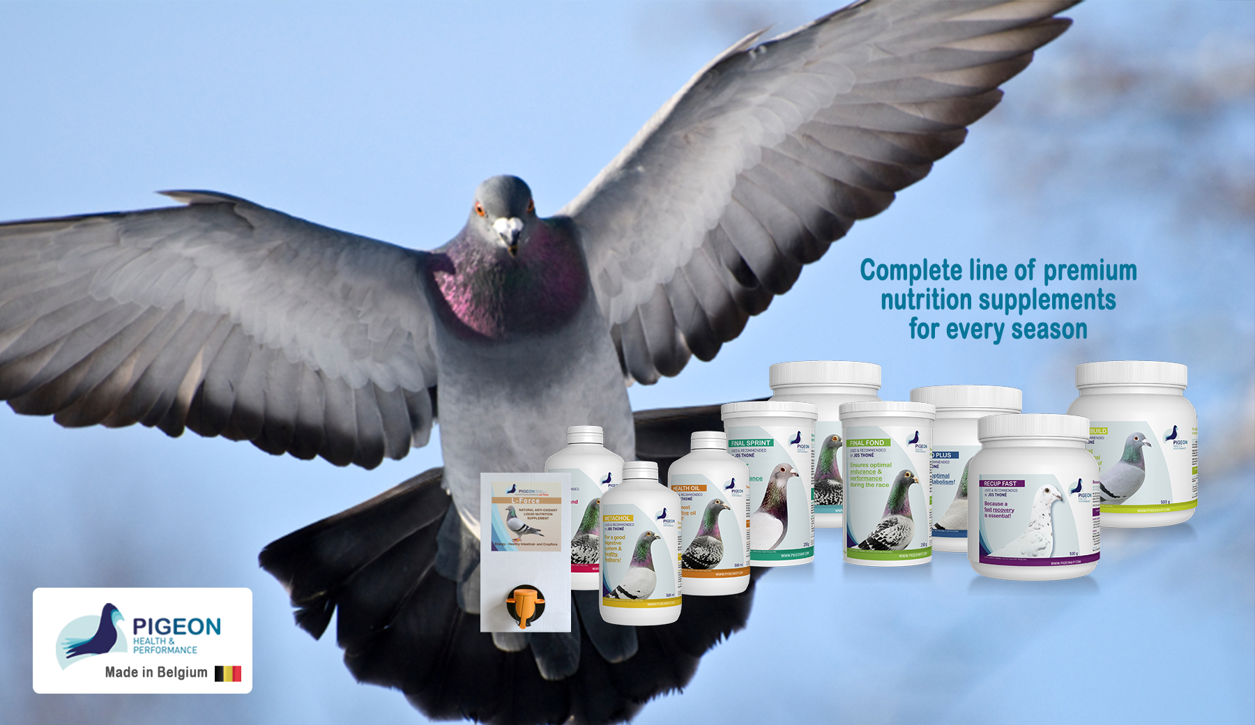 Healthy pigeons and top performance, all year round!