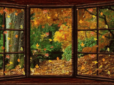 Autumn Leaves falling outside Cozy window -- Cozy Autumn Aesthetic -- Fall Hygge