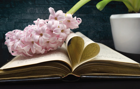 Mother's Day Gift Ideas for Bookworms - Book Lover Mother's Day Gifts