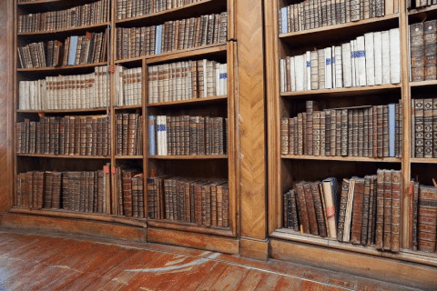 Antiquarian aesthetic library secret passageway in bookshelf