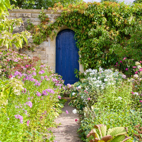 Secret Door to Hidden Garden -- Secret Garden Aesthetic -- Spring Cottagecore Aesthetic