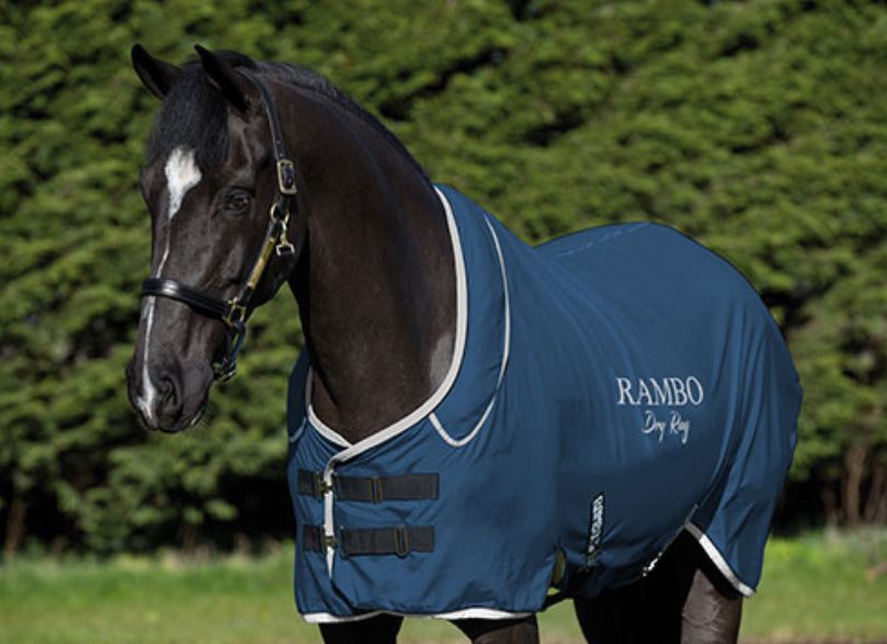 Purchase Rambo® Optimo Stable Blanket (200g Medium) Online - Horseware