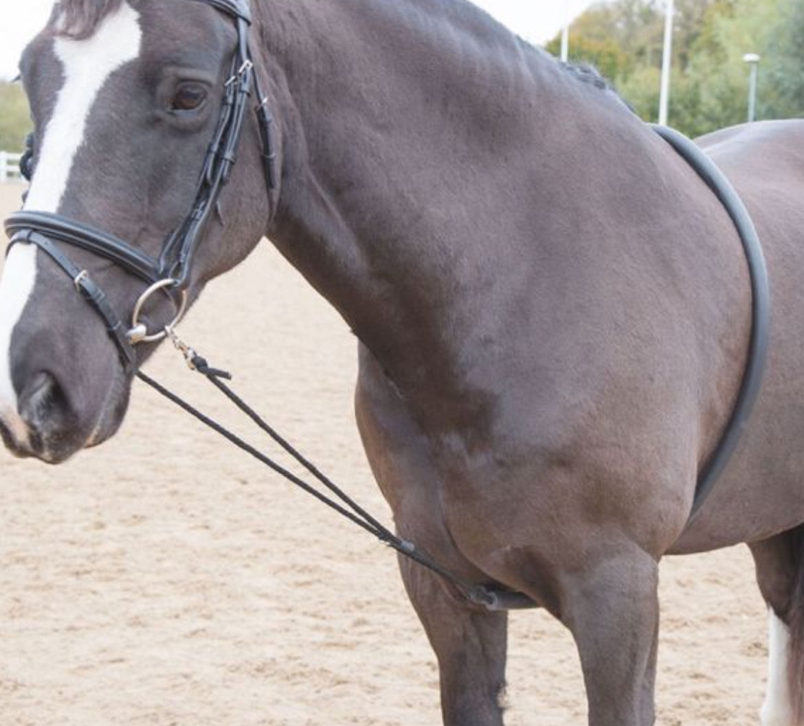 Shires Fleece Lunging Cavesson