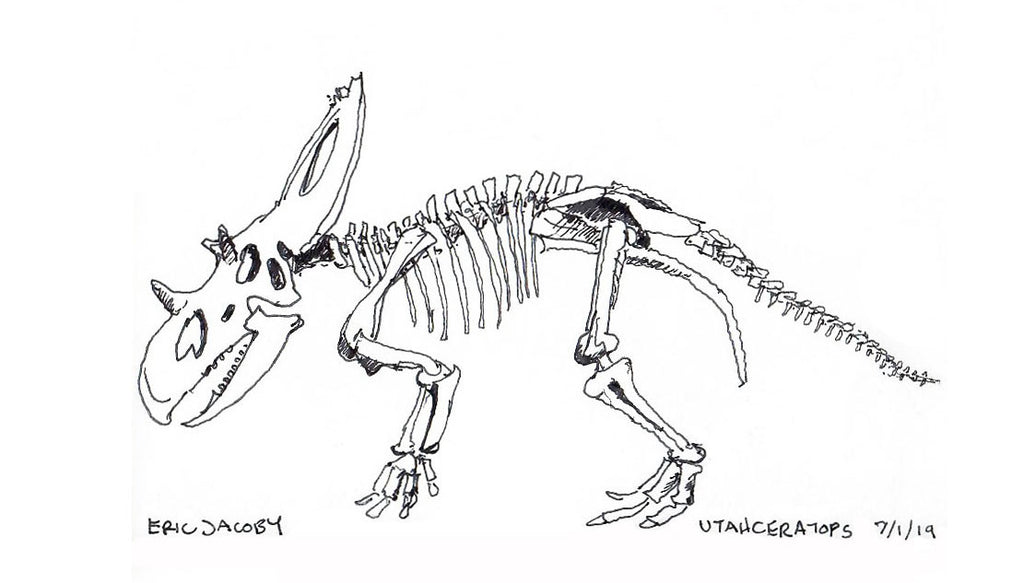 hand sketch by Eric Jacoby of utahceratops skeleton 