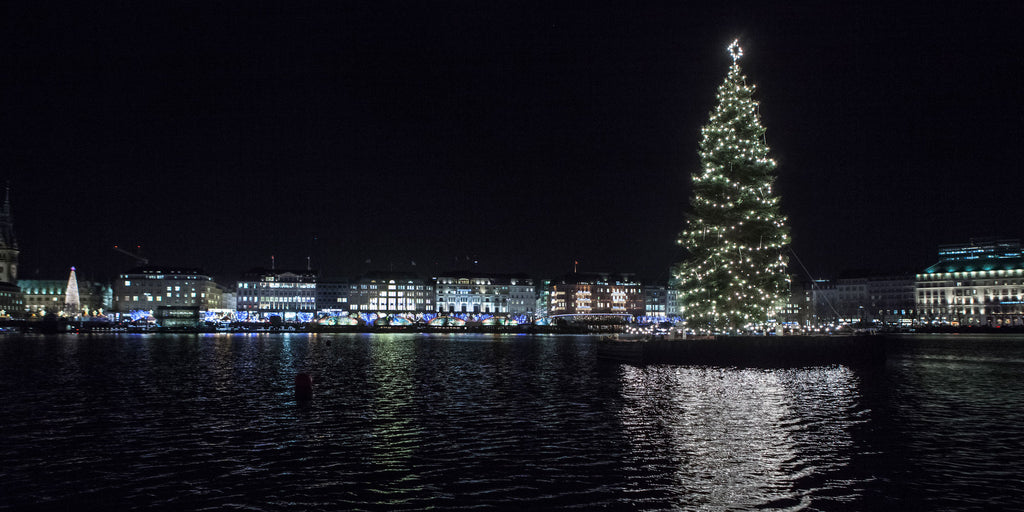 TRAVELGUIDE Alemania: Navidad en Hamburgo! - Pilgrim Travel Store