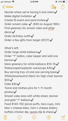 Party planning notes 