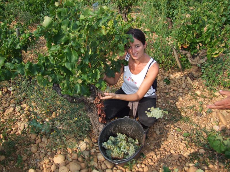 Cotes La Villages, Rhone Chateau du 2021 Cote