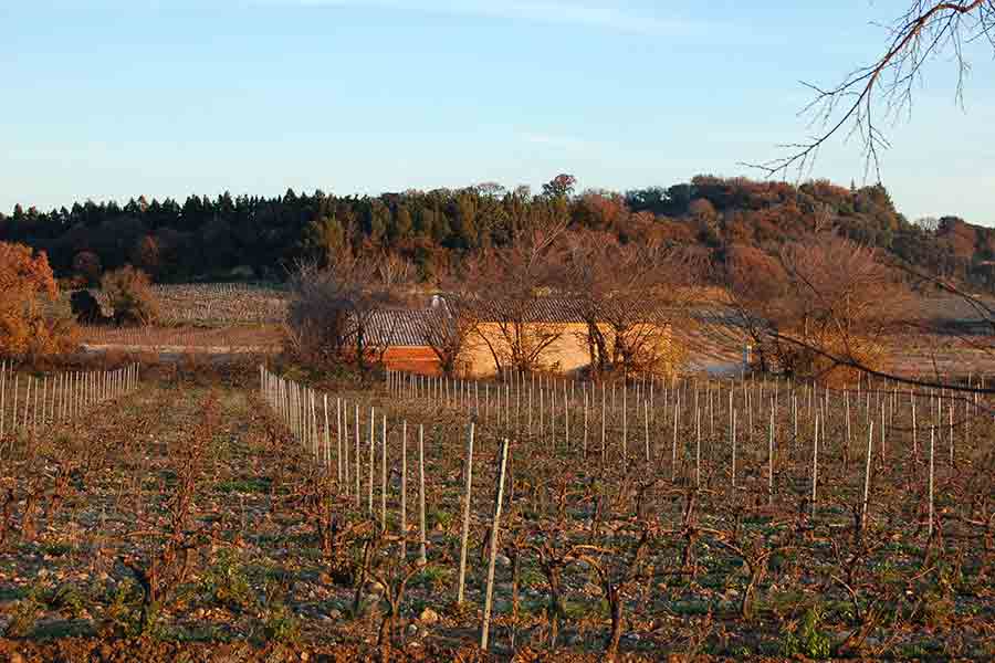 2021 Cotes du Rhone Villages, Chateau La Cote