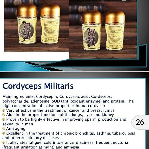 Cordyceps Militaries