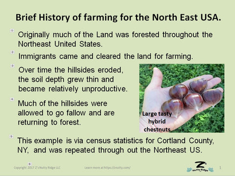 History of how the trees were cleared for farming in the Northeast US, and the fields grew poor and now are returning to trees