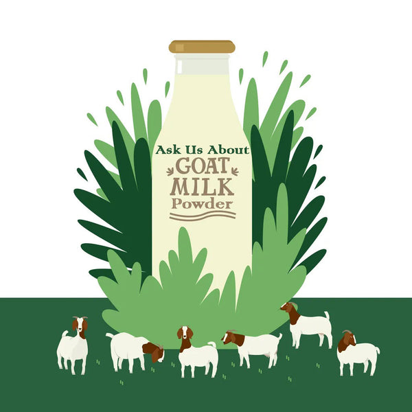 Ask Us About Aadvik Goat Milk Powder