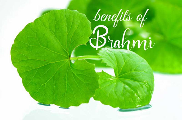 Brahmi