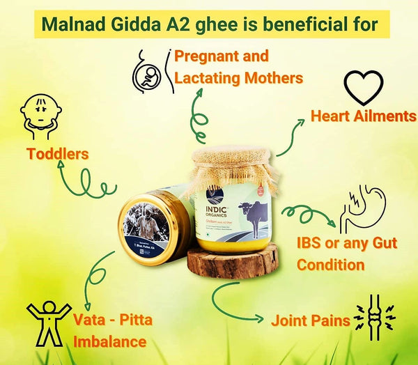 Indic Organics Forest Grazing Malnad Gidda Desi Cow's A2 Ghee Benefits