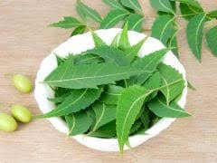 Neem