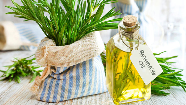 Rosemary Oil 