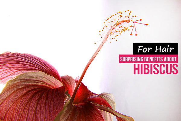 Benefits Of Hibiscus For Hair
