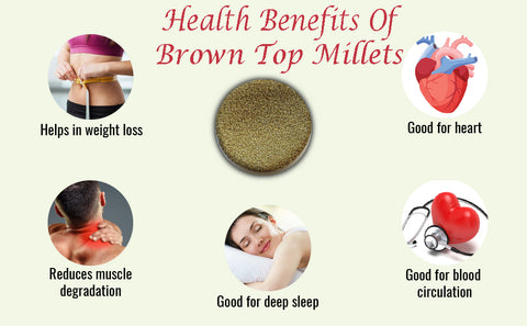 Brown Top Millets - Health Benefits