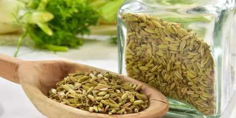 Fennel Seeds