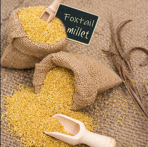 Foxtail Millets 