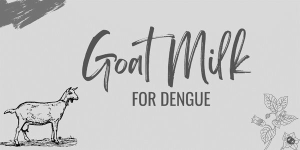 Goat Milk For Dengue