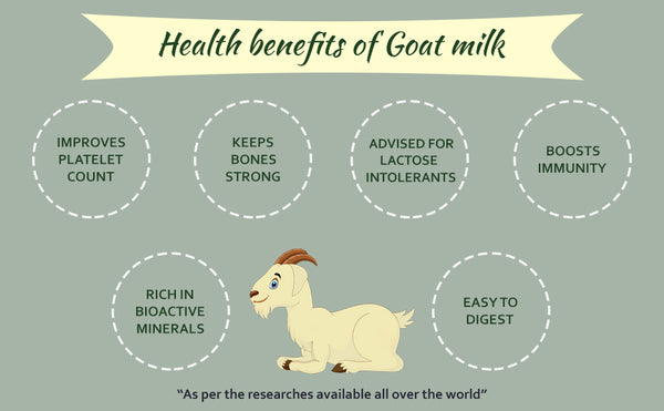 Hye Foods Goat Milk Powder Benefits
