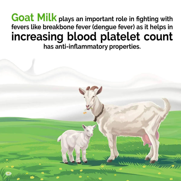 Goat Milk Powder For Dengue