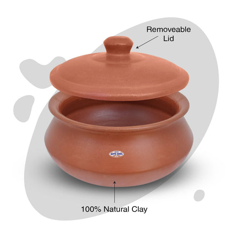 Mitticool Clay Curd Pot