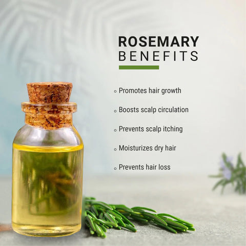 Rosemary Oil Benefits