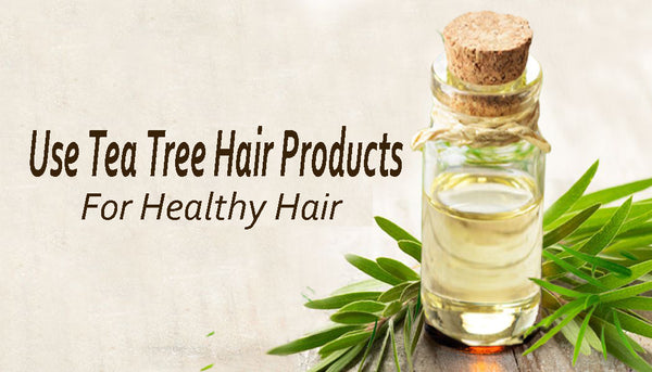 Tea Tree Hair Products