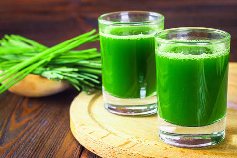 Wheatgrass Juice