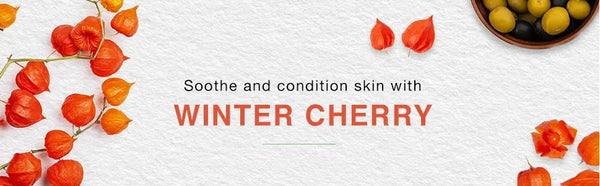 Winter Cherry For Baby's Skincare