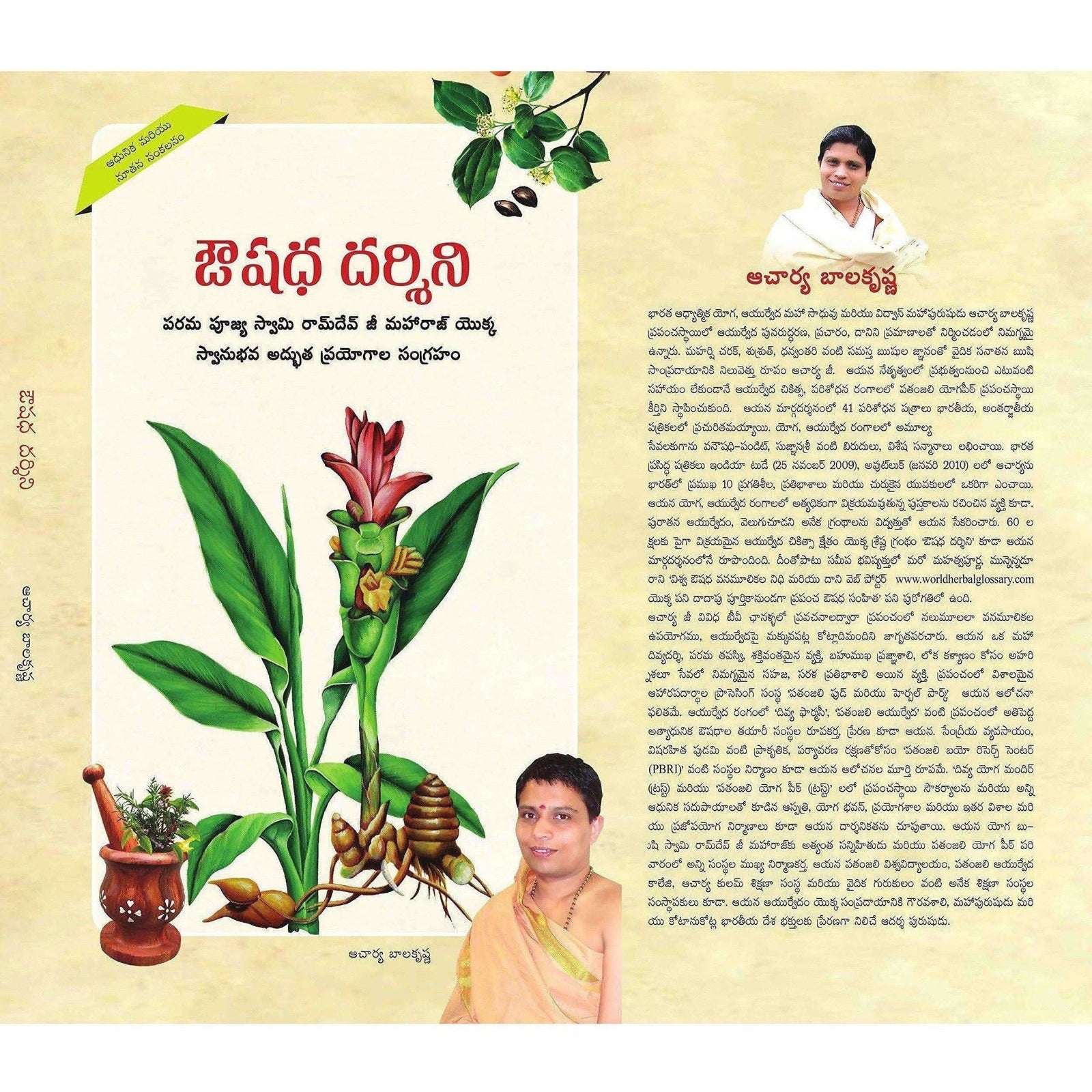 Buy Ayurvedic Books Online Best Books on Ayurveda Home Remedies, Diet etc