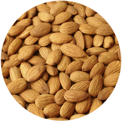 Almonds - ONE Bites Ingredients