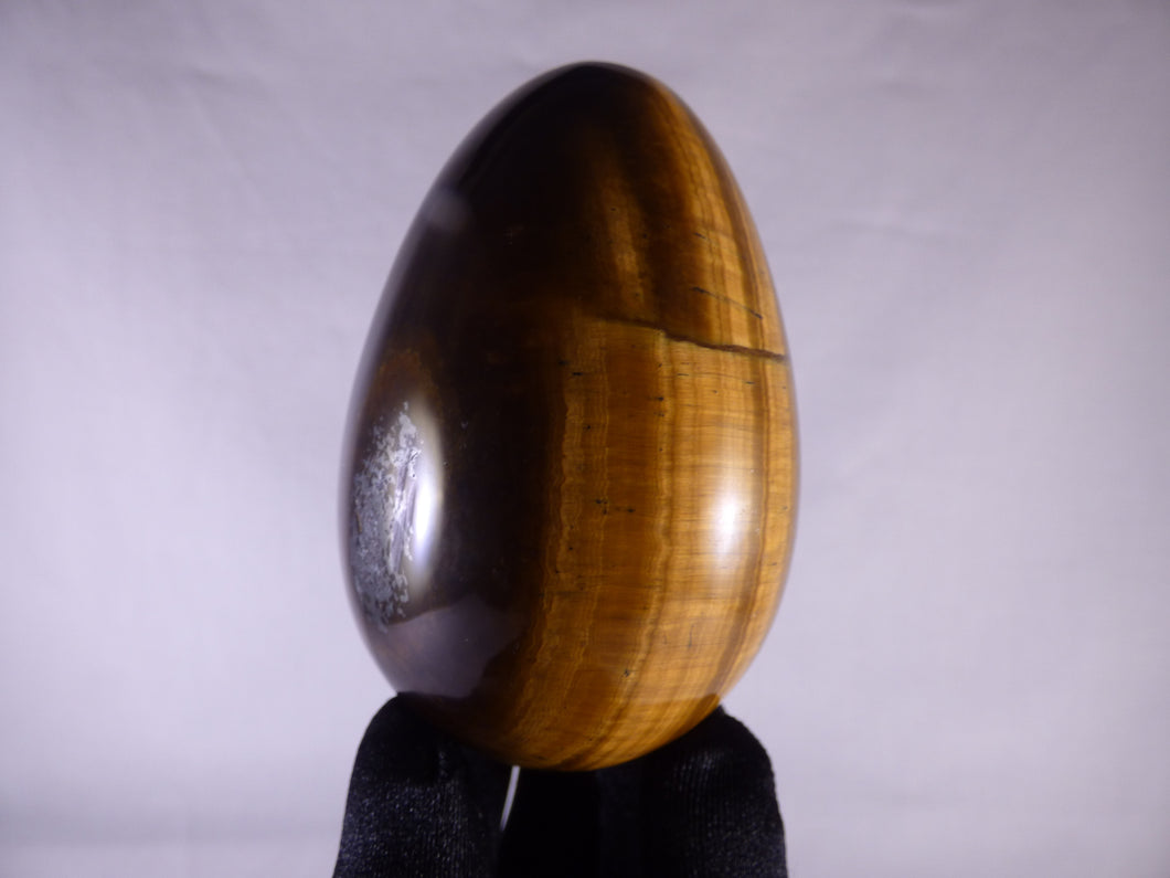 tigers eye egg