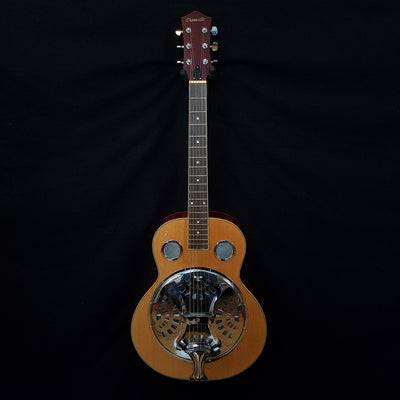 danville dobro guitar