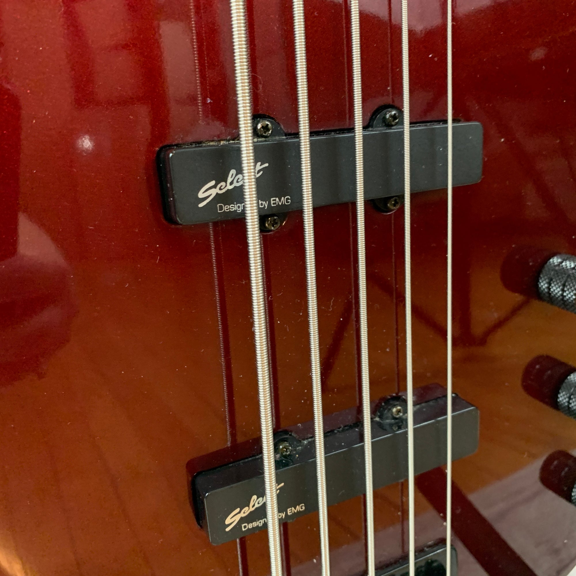 ibanez ex series 5 string bass guitar