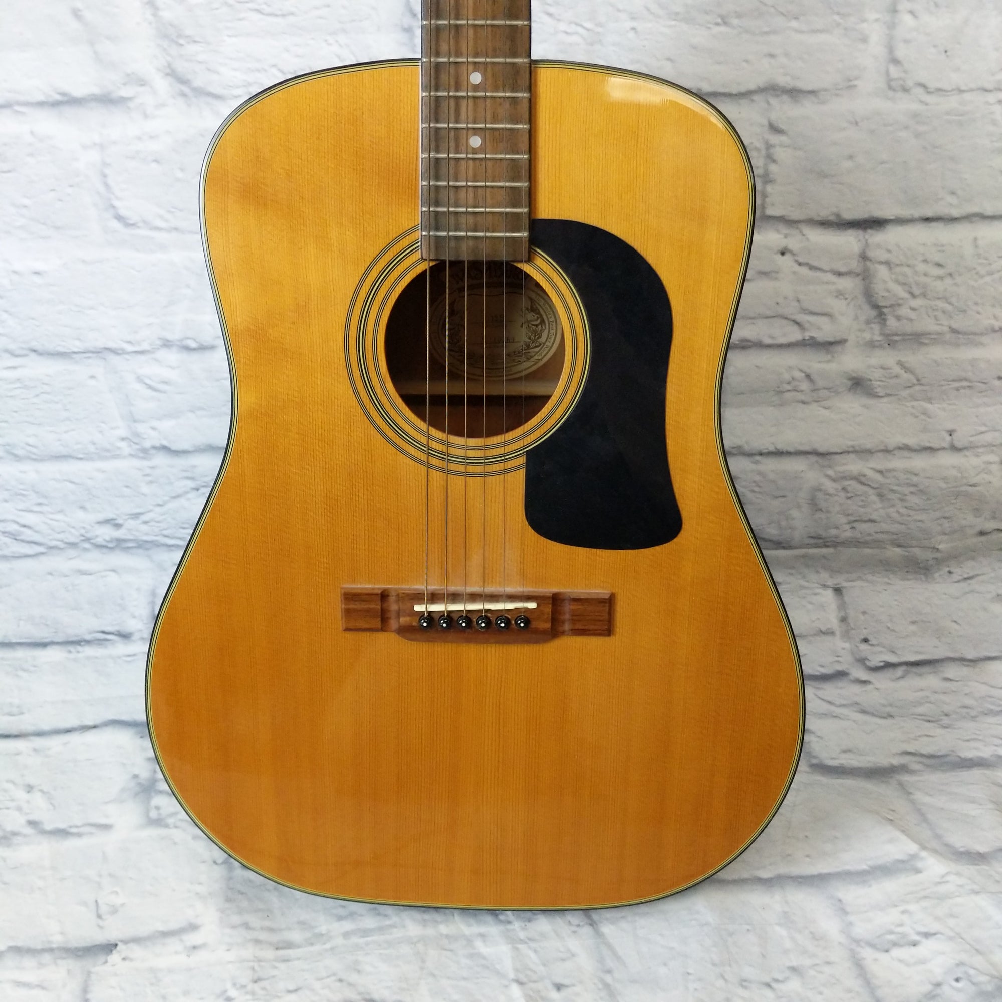 washburn acoustic guitar d12s