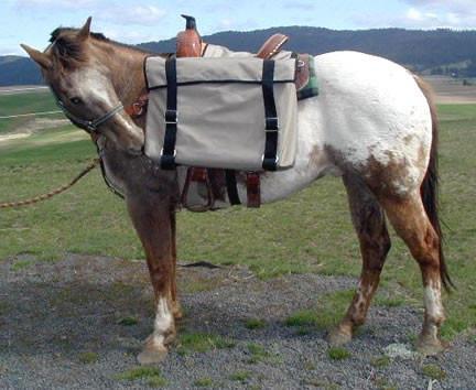 saddle panniers horse