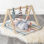 Activity Gym - Wooden Gym with Toys