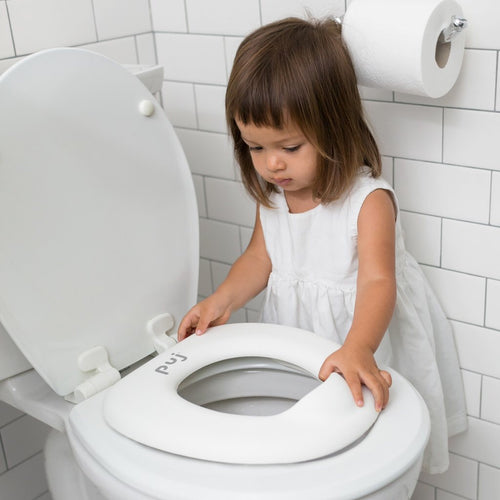 Easy Seat- Toilet Trainer