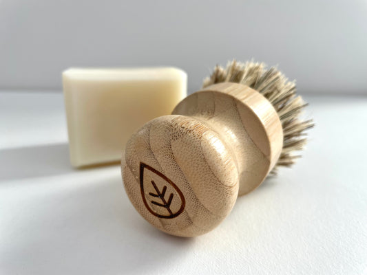 Natural Dish Brush / Scrubber - Escobeta de Raíz - Made in Mexico