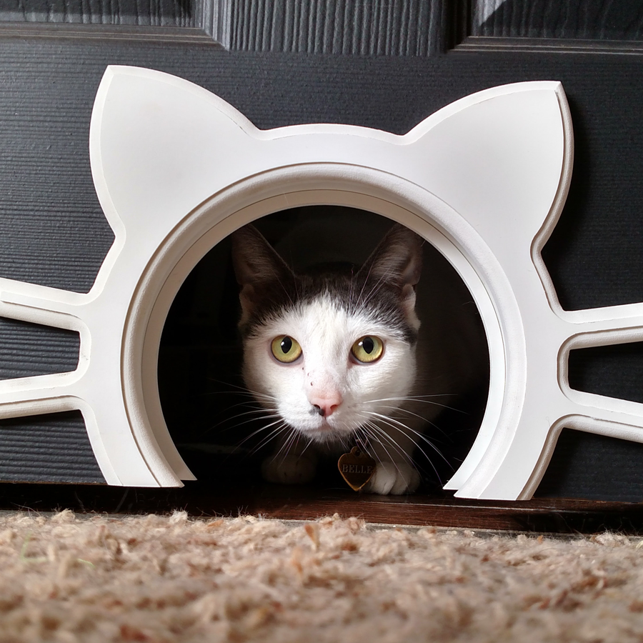 Designer Interior Cat or Pet Door – Cool Cat Door