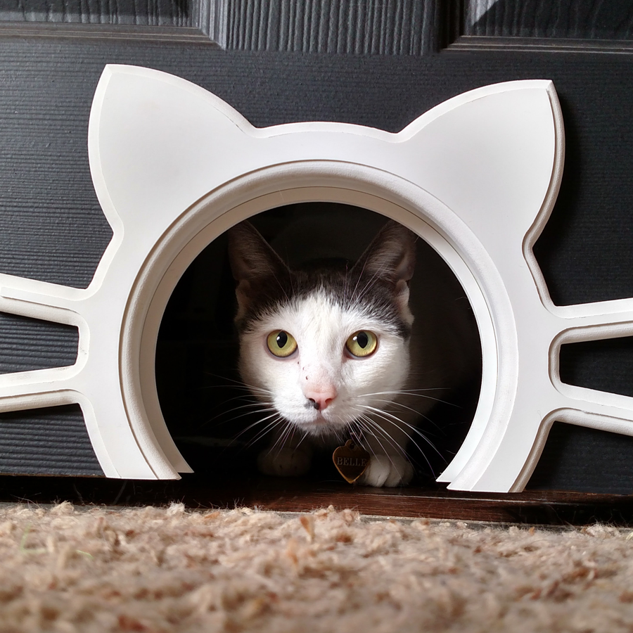 Designer Interior Cat Or Pet Door