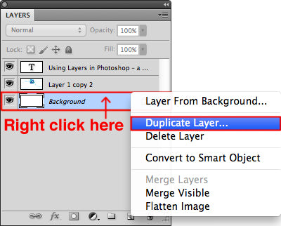 Duplicate the layer by right clicking on the desired layer