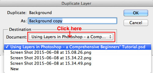 Duplicate the layer and choose destination