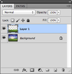 Make a duplicate layer of grass area