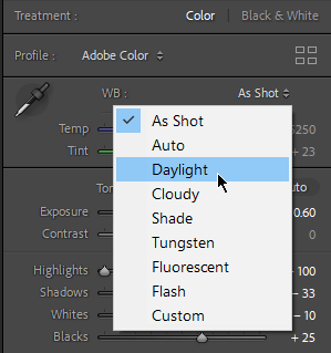 screenshot of Pre-built White Balance presets