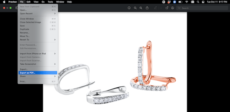 screenshot showing how to export image as PDF on Mac