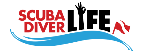 Международная эмблема дайвинга. Логотип diverst. БС дайвер логотип. Scuba Life.